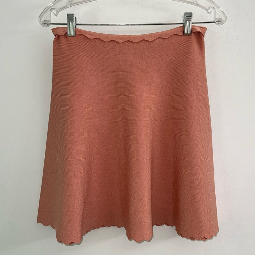 Herve Leger Skirt